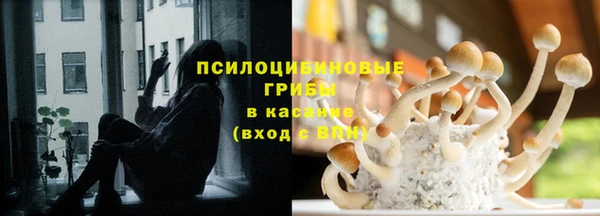 хмурый Дмитров