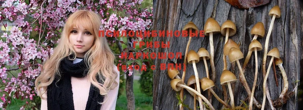 метадон Богородск
