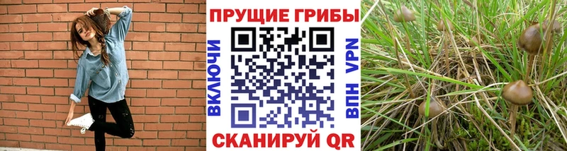 Псилоцибиновые грибы MAGIC MUSHROOMS  Ейск 